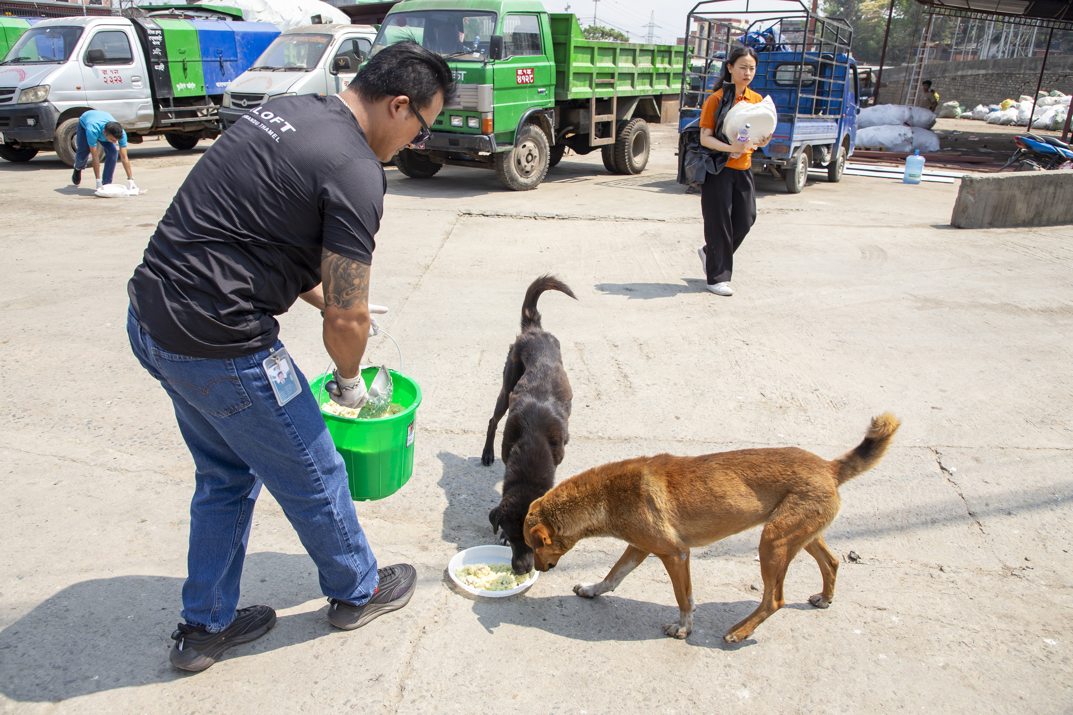 Aloft Kathmandu Thamel Initiates Street Dog Feeding