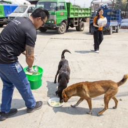 Aloft Kathmandu Thamel Initiates Street Dog Feeding