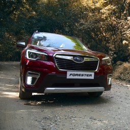 The New Forester 2019