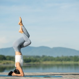 The Eternal Cycle: New Beginnings, Rebirth, and the Death of Ego Through Yoga and Psychedelics