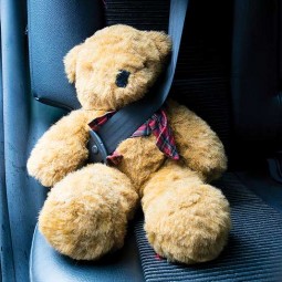 Children Safety in the Car