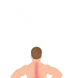 Self-Managing Back and Neck Pain