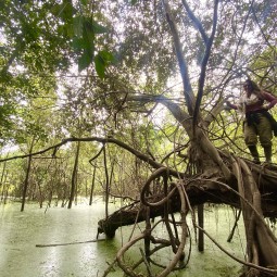 Wild Wild Amazonia