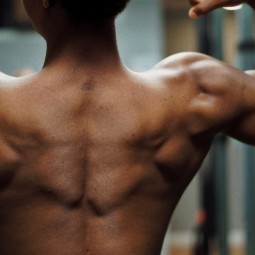 THE SCIENCE BEHIND MUSCLES GROWTH